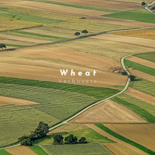 Wheat cover art
