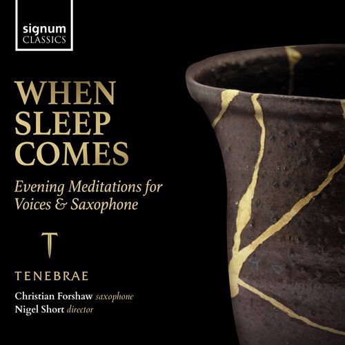 When Sleep Comes: Evening Meditations for Voices &amp; Saxophone_poster_image