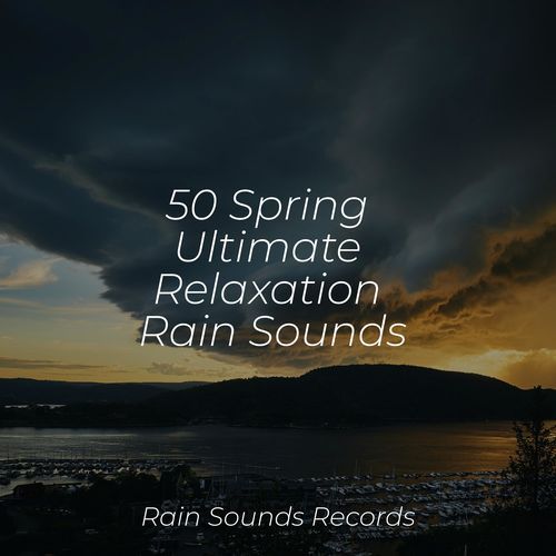 50 Spring Ultimate Relaxation Rain Sounds_poster_image