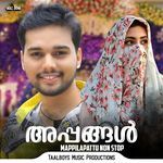 Appangal (Mappilapattu Non Stop) artwork