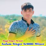 Aslam Singer Sr9000 Mixer