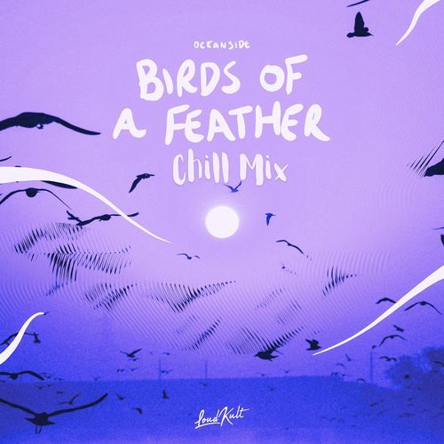 BIRDS OF A FEATHER (Chill Mix)