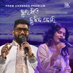 Bhul Sie Bujhiba Boli Instrumental
