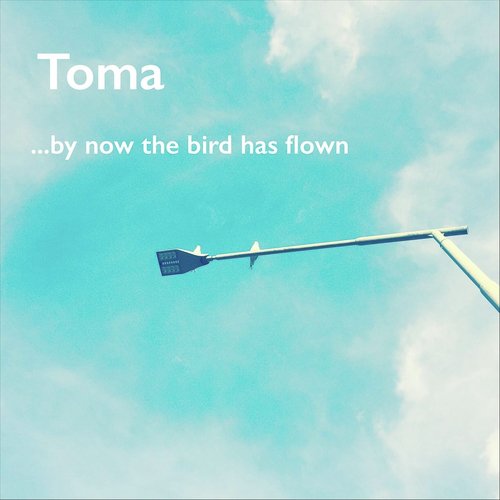 ...By Now the Bird Has Flown