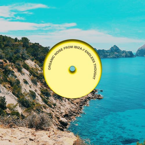 The Infinity (Jason Rivas Organic Mix) cover art