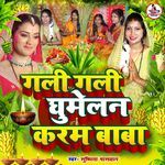 Gali Gali Ghumelan Karam Baba