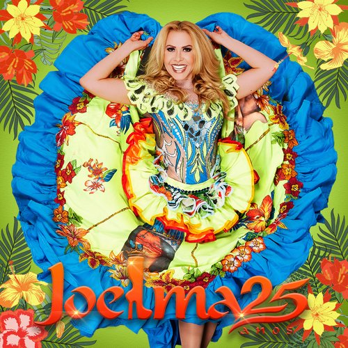 Joelma 25 Anos (Ao Vivo)_poster_image