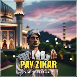 Lab Pay Zikar