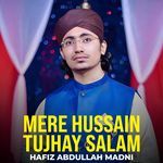 Mere Hussain Tujhay Salam