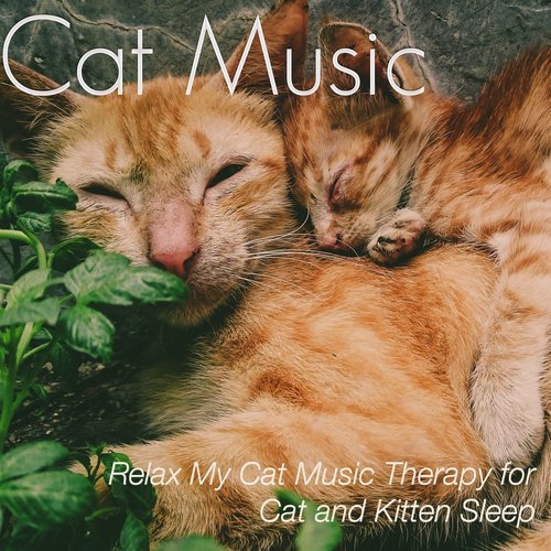 Music for Cats: Relax My Cat Music Therapy for Cat and Kitten Sleep