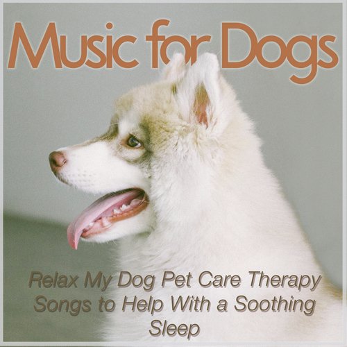 Music for Dogs: Relax My Dog Pet Care Therapy Songs to Help With a Soothing Sleep_poster_image