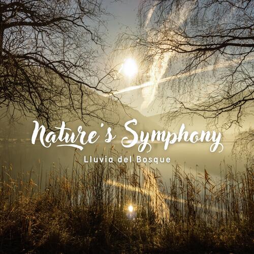 Nature's Symphony cover art