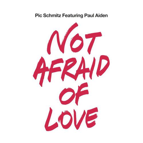 Not Afraid of Love_poster_image