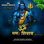 Om Namah Shivaya 108 Times