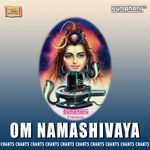 Om Namashivaya