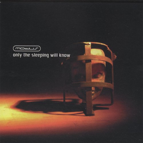 A Swan Dive in the Shallow End cover art