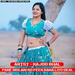 Pane Bislari Ko Peer Bana Liyo Deal artwork