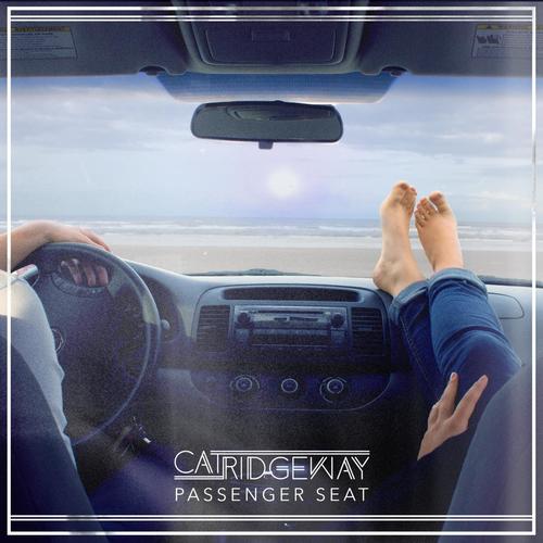 Passenger Seat_poster_image