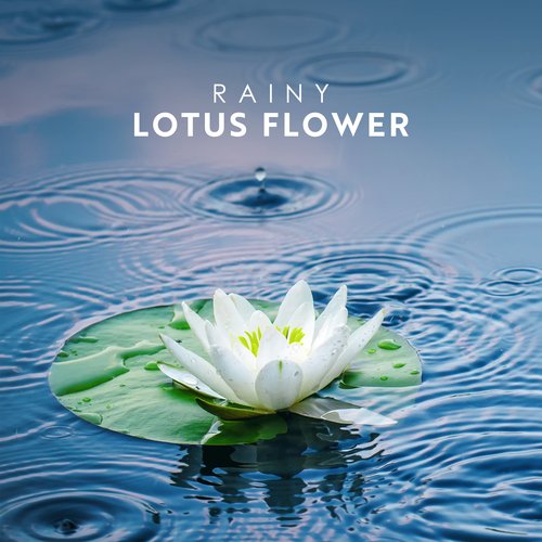 Rainy Lotus Flower: Beautiful Asian Melodies with Rainy Atmosphere for Deep Relaxation, Spa and Sleep