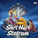 Shri Hari Stotram
