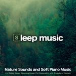 Sleep Aid with Nature Sounds artwork