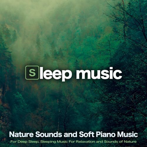 Music For Sleeping Ensemble cover art