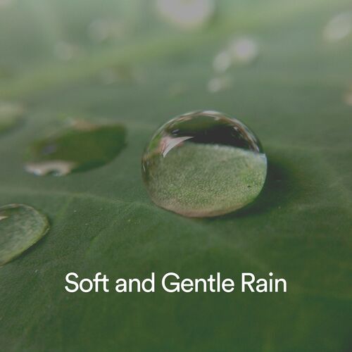 Soft and Gentle Rain