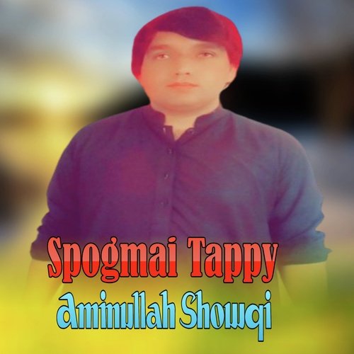 Spogmai Tappay