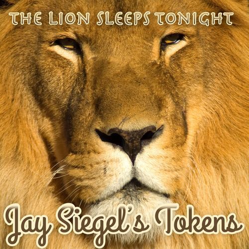 The Lion Sleeps Tonight cover art