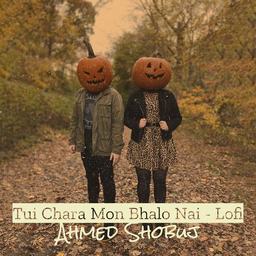 Tui Chara Mon Bhalo Nai - Lofi