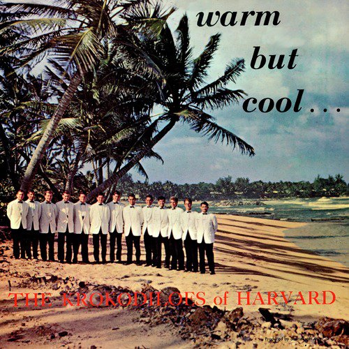 The Emblem cover art