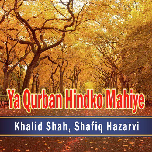 Ya Qurban Hindko Mahiye