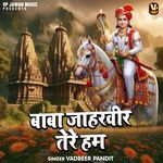 Baba Jagarveer Tere Hum