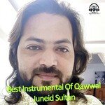 Best Instrumental Of Qawwali