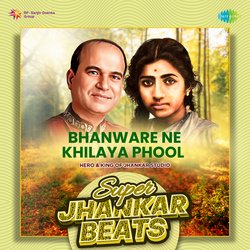 Bhanware Ne Khilaya Phool - Super Jhankar Beats-HC0vQy4JZWM