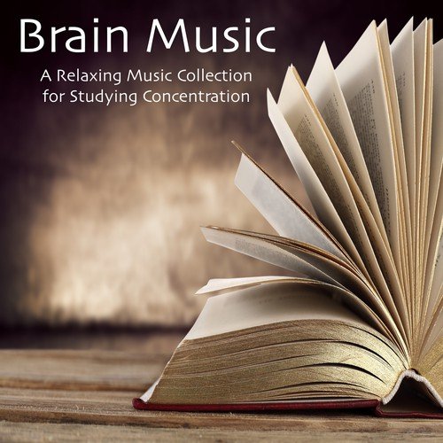 Brain Music: A Relaxing Music Collection for Studying Concentration
