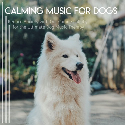 Dog Music Therapy