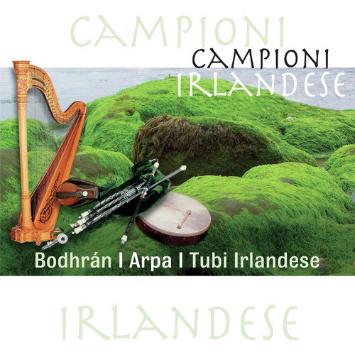 Campioni Irlandese - Bodhrán / Arpa / Tubi Irlandese