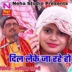Dil Leke Ja Rhe Ho