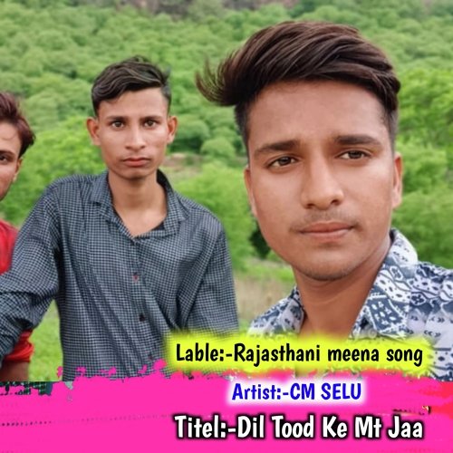 Dil Tood Ke Mt Jaa (Rajasthani meena song)