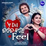 E Dil Tate Kare Feel