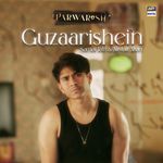 Guzaarishein (From "Parwarish") (Original Motion Picture Soundtrack)