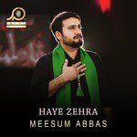 Haye Zehra