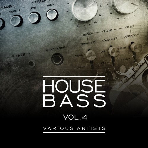 House Bass, Vol. 4