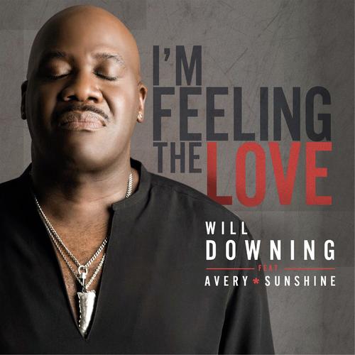 I'm Feeling The Love (feat. Avery*Sunshine)_poster_image