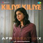 Kiliye Kiliye - Afrobeat Mix
