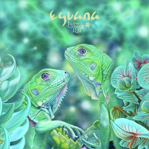 Emotional Seesaw cover art