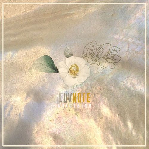 She Walks in My Dream cover art
