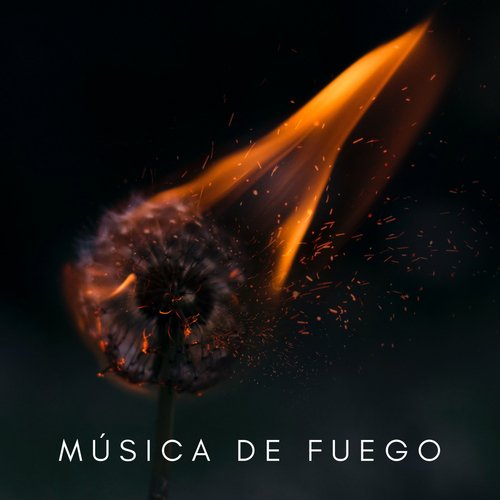 Sonidos De Truenos y Lluvia cover art