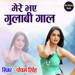 Mere Bhaye Gulabi Gaal